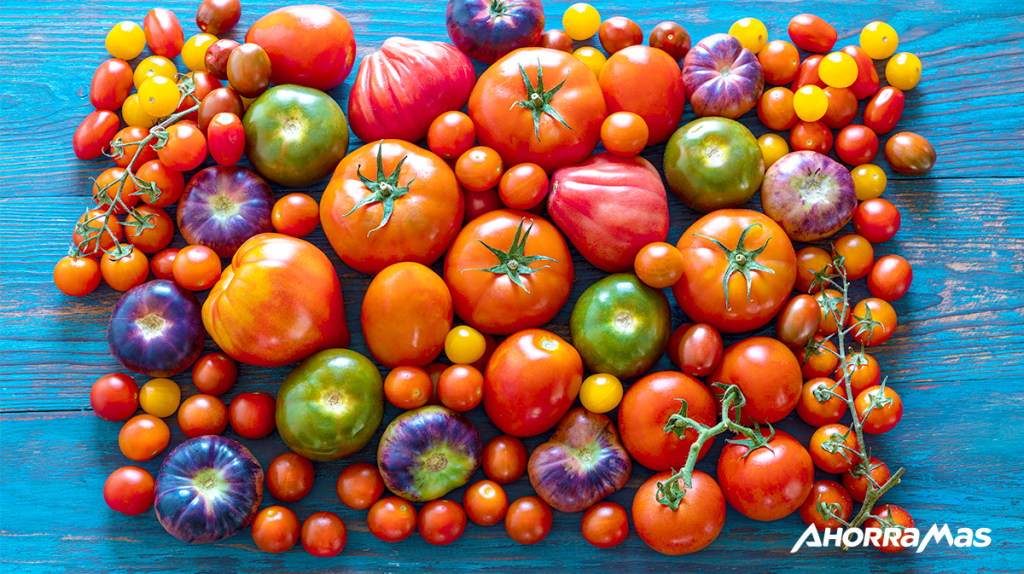 tipos de tomate